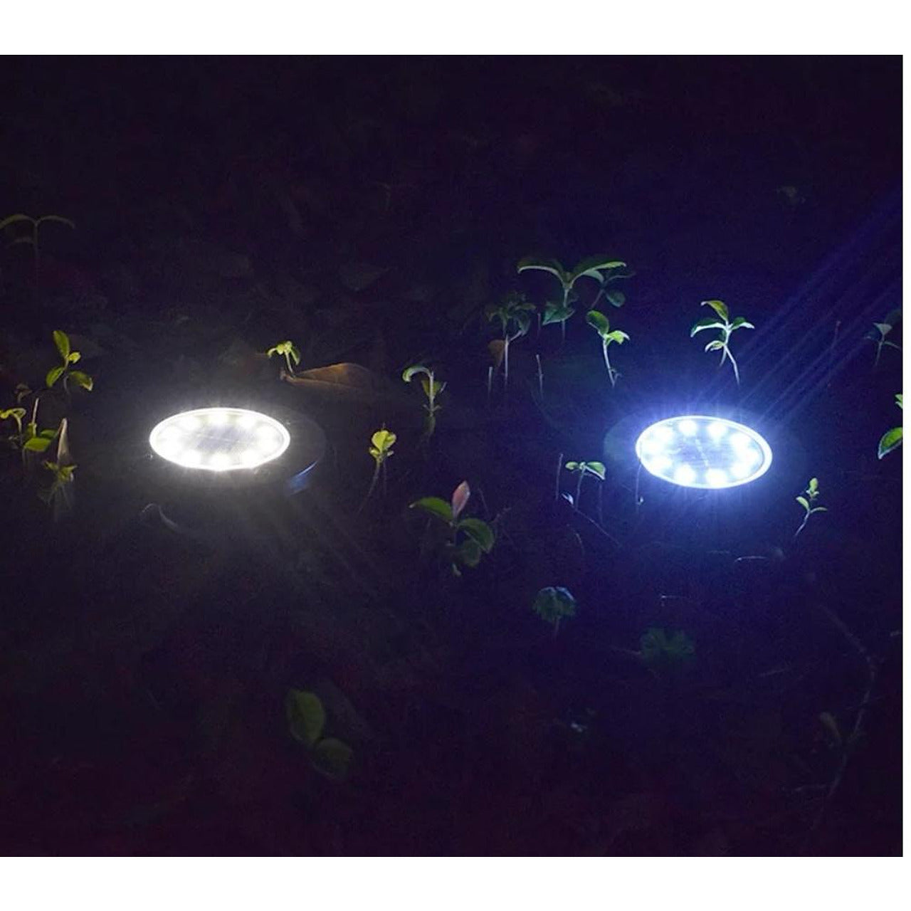 Градински LED Соларни Лампи
