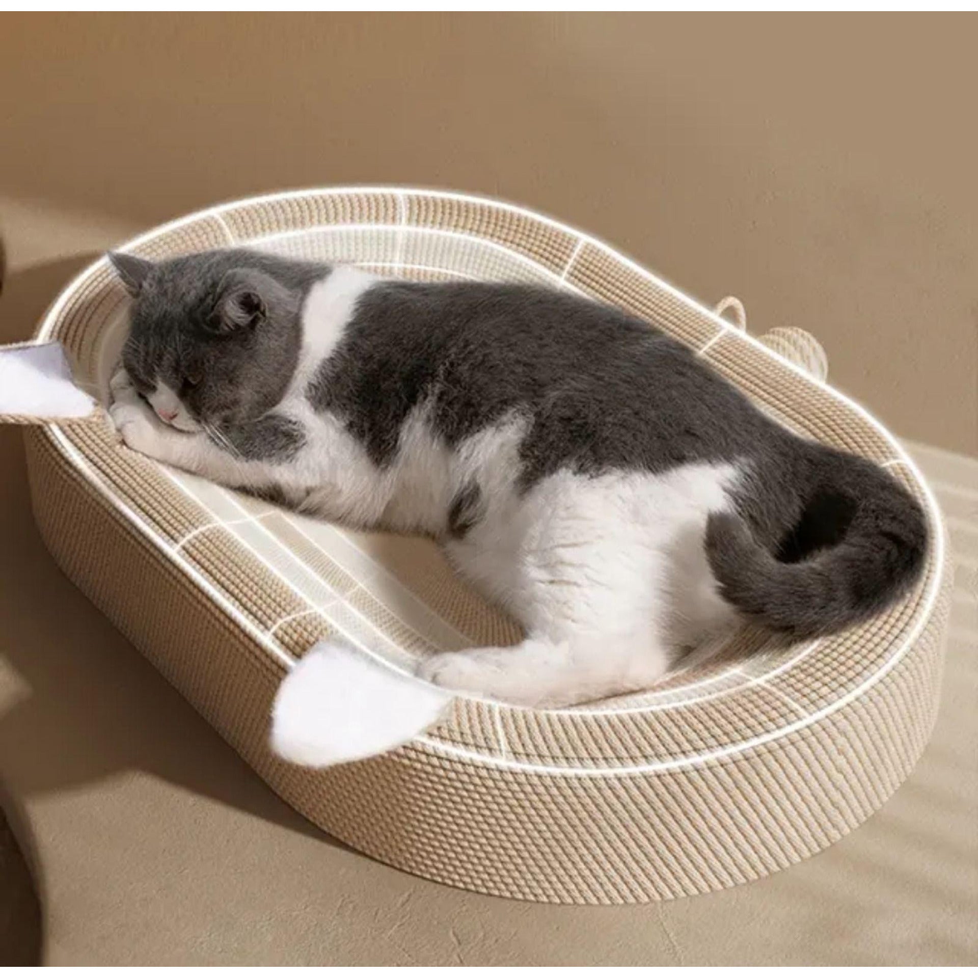 Котешко легло