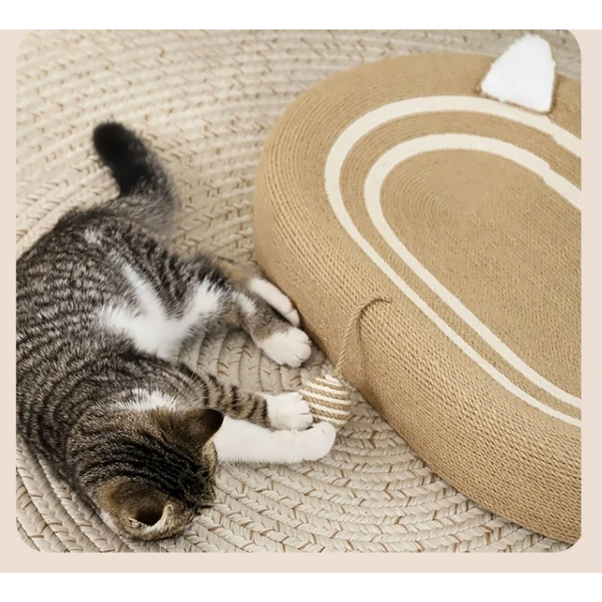 Котешко легло
