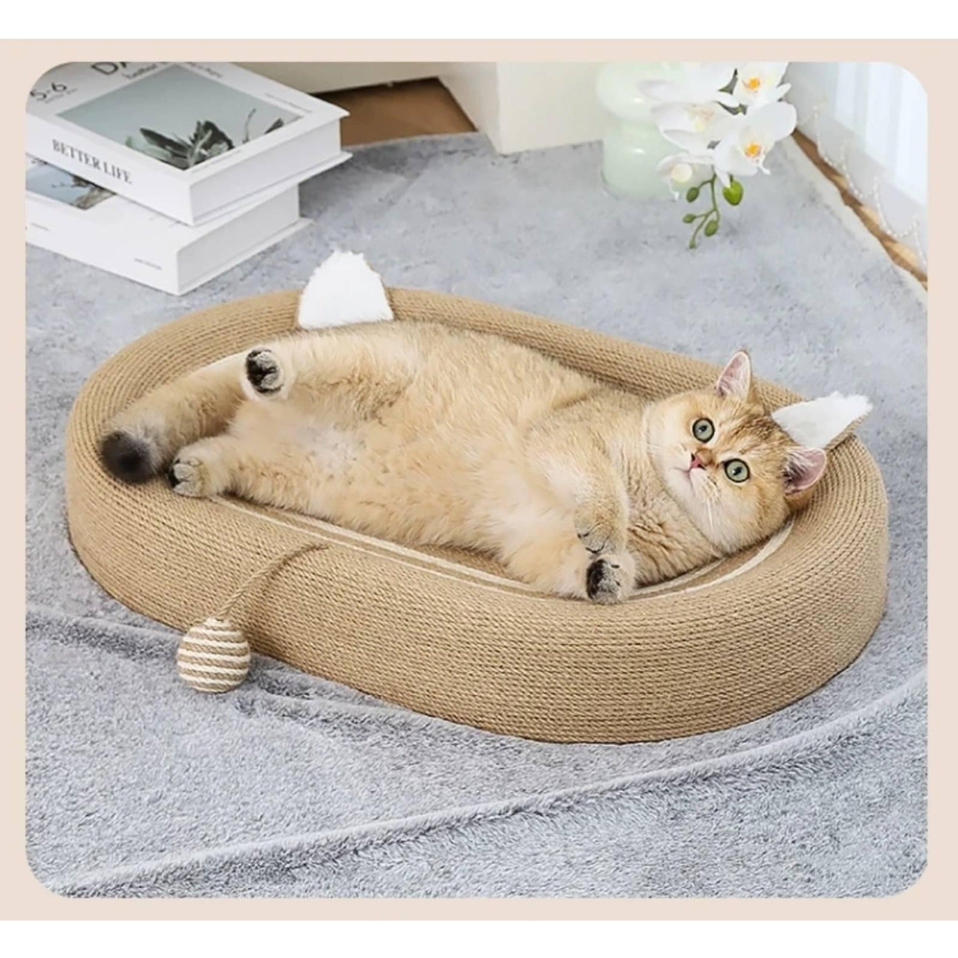 Котешко легло
